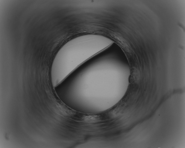 X0000093160461200709261039