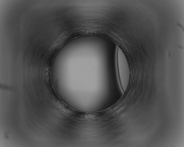 X0000093160462200709261039