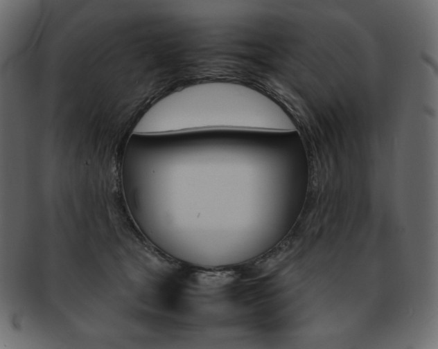X0000093160465200709261039