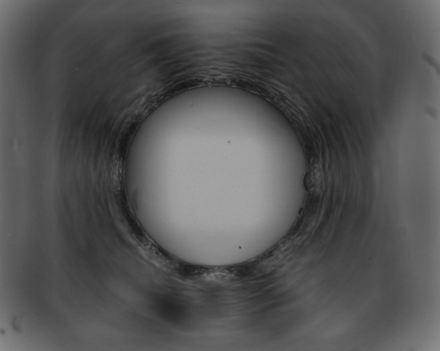 X0000093160468200709261039