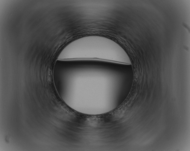X0000093160470200709261039
