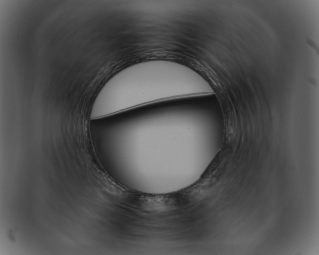 X0000093160473200709261039