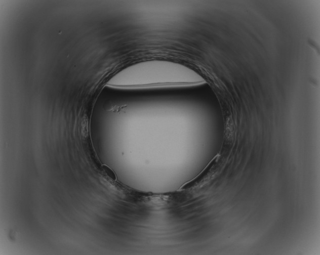 X0000093160474200709261039