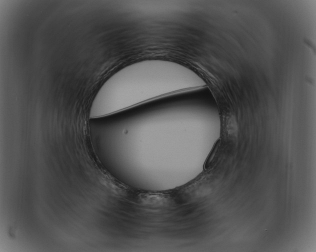 X0000093160475200709261039
