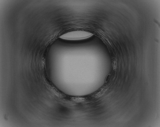 X0000093160476200709261039