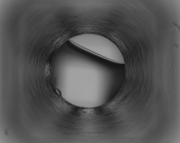 X0000093160478200709261039