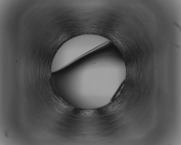X0000093160479200709261039