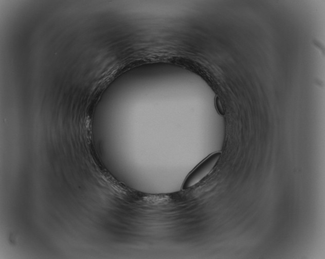 X0000093160480200709261039