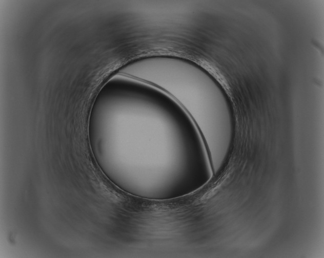X0000093160481200709261039