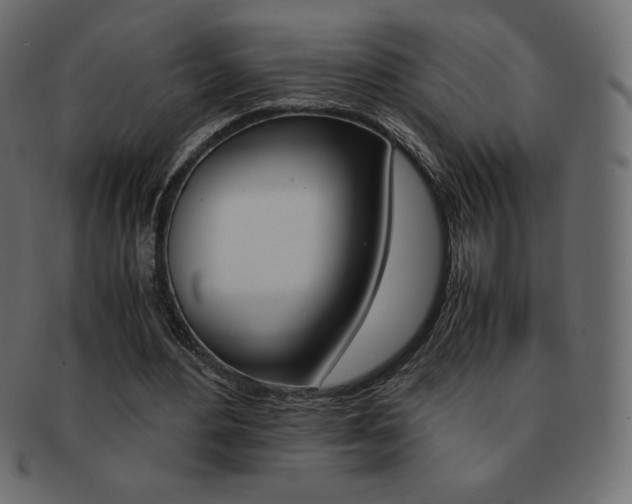 X0000093160484200709261039