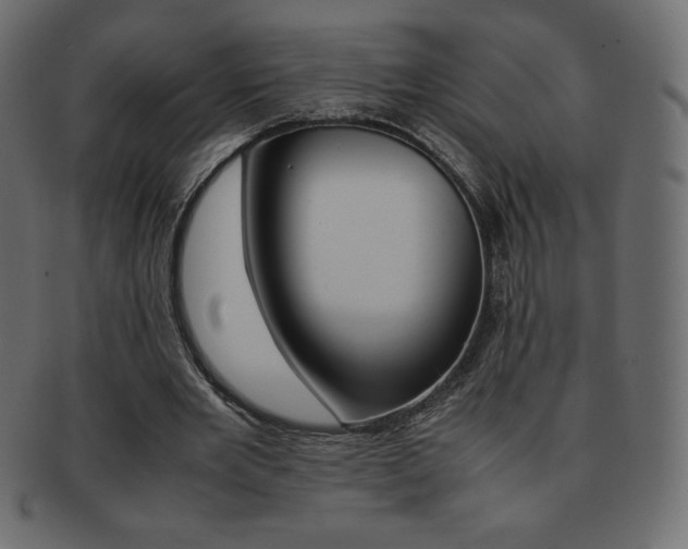 X0000093160485200709261039