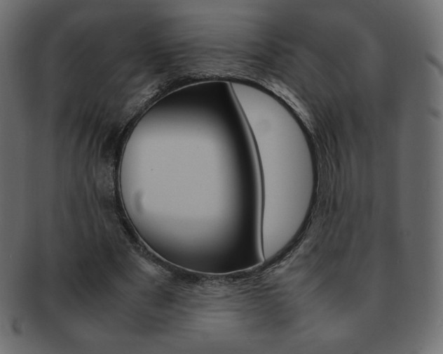 X0000093160489200709261039