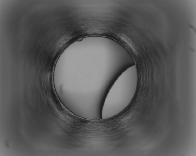 X0000093160491200709261039
