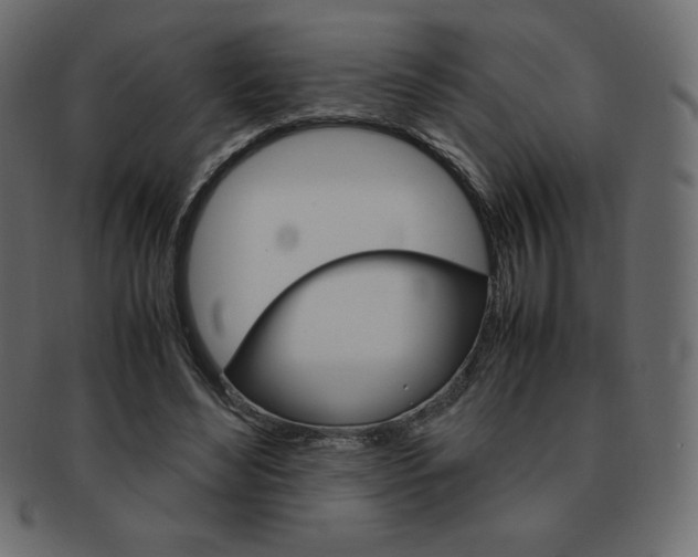 X0000093160492200709261039