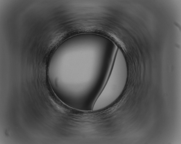 X0000093160493200709261039