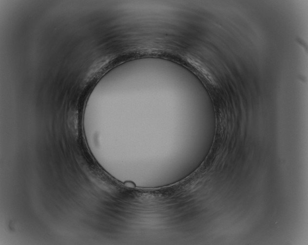 X0000093160494200709261039