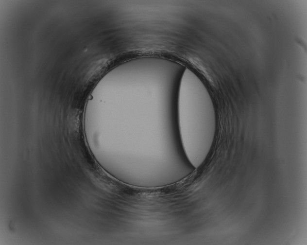 X0000093160495200709261038