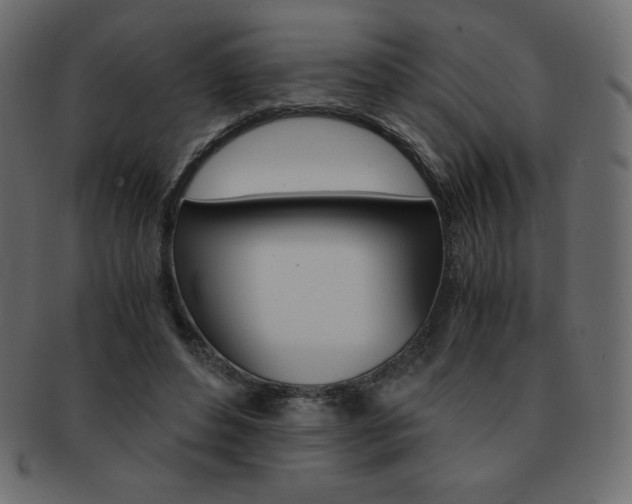 X0000093160496200709261038