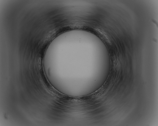X0000093160498200709261038
