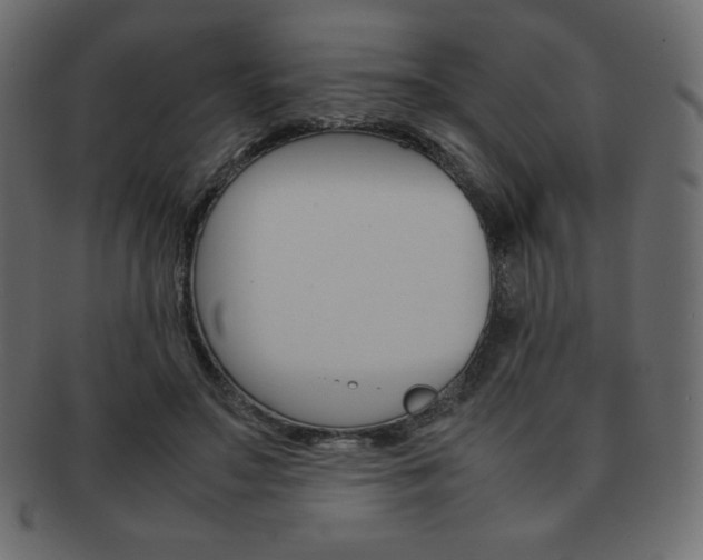 X0000093160499200709261038