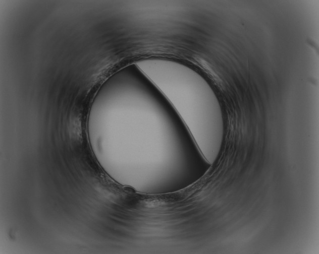 X0000093160500200709261038