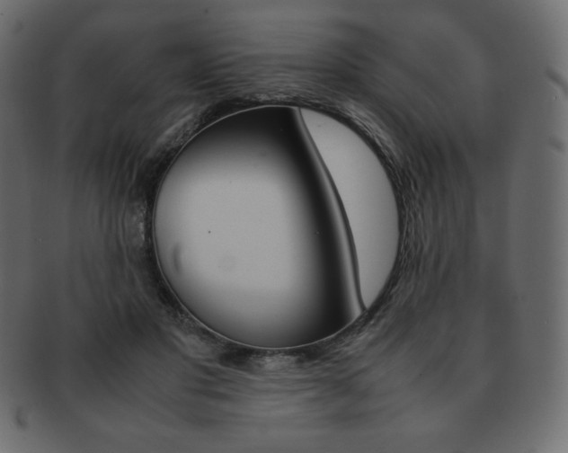 X0000093160501200709261038