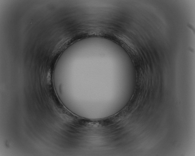 X0000093160502200709261038