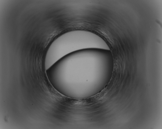 X0000093160504200709261038