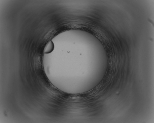 X0000093160506200709261038