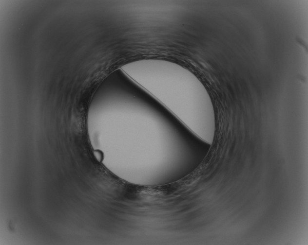 X0000093160515200709261038