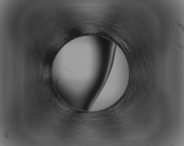 X0000093160517200709261038