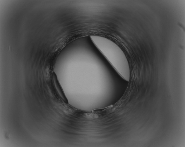 X0000093160520200709261038