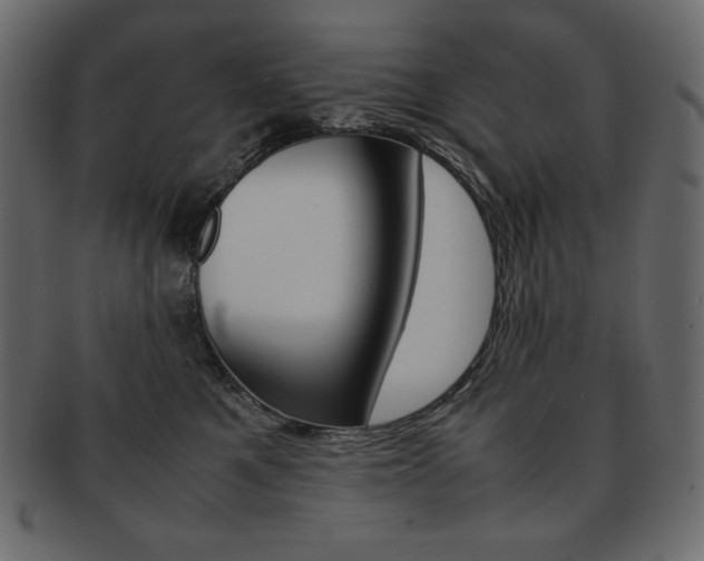 X0000093160521200709261038
