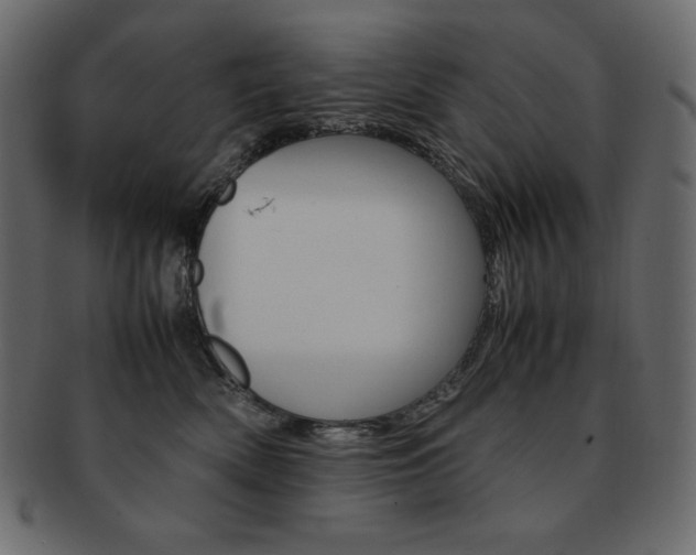 X0000093160522200709261038