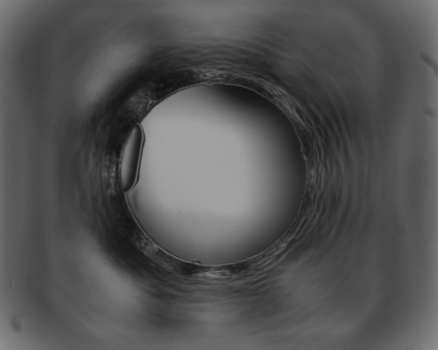 X0000093160525200709261038