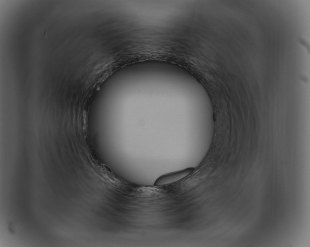 X0000093160528200709261038