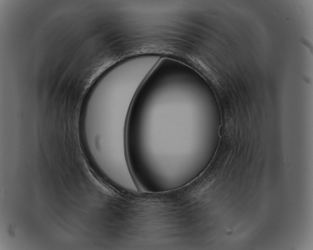 X0000093160530200709261038