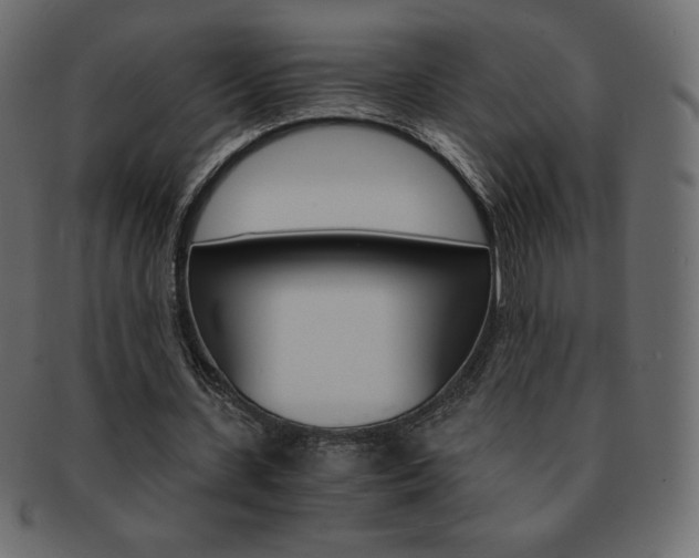 X0000093160531200709261038