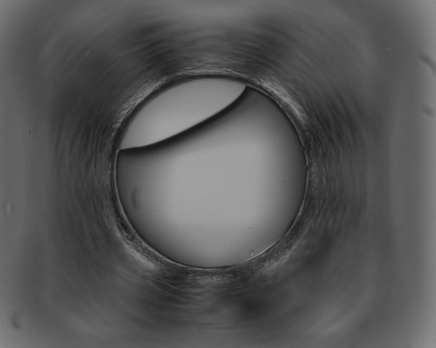 X0000093160533200709261038