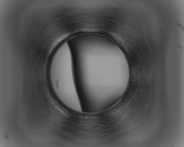 X0000093160535200709261038