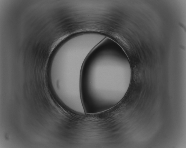 X0000093160536200709261038