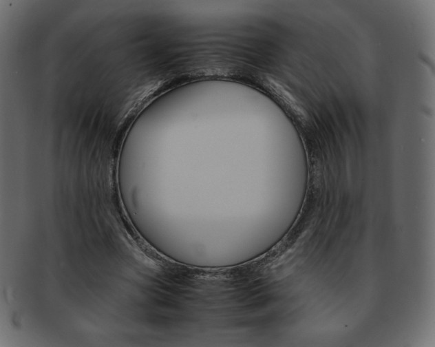 X0000093160537200709261038