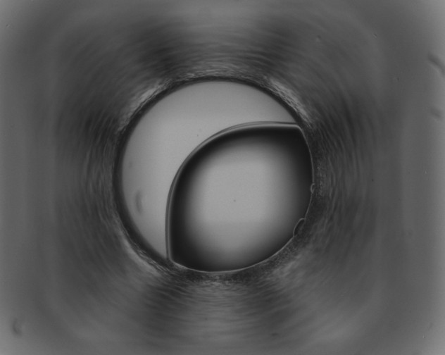 X0000093160538200709261038