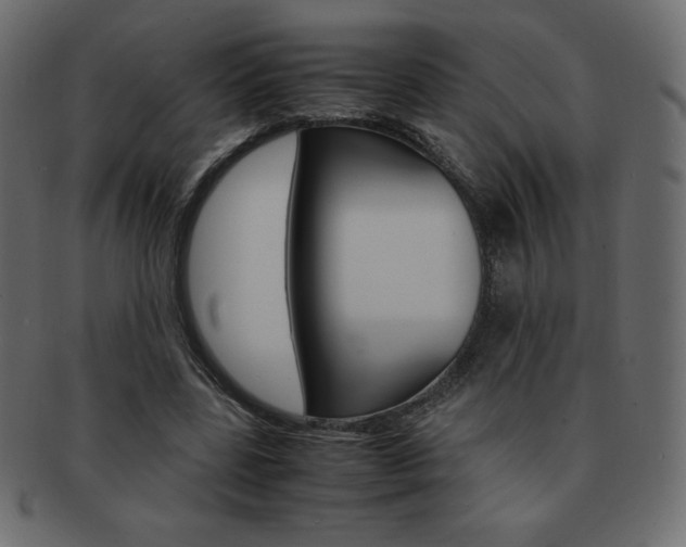 X0000093160539200709261038