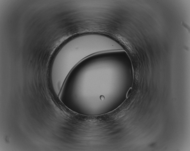 X0000093160540200709261038