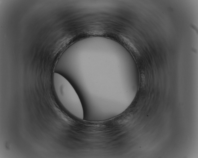 X0000093160541200709261038