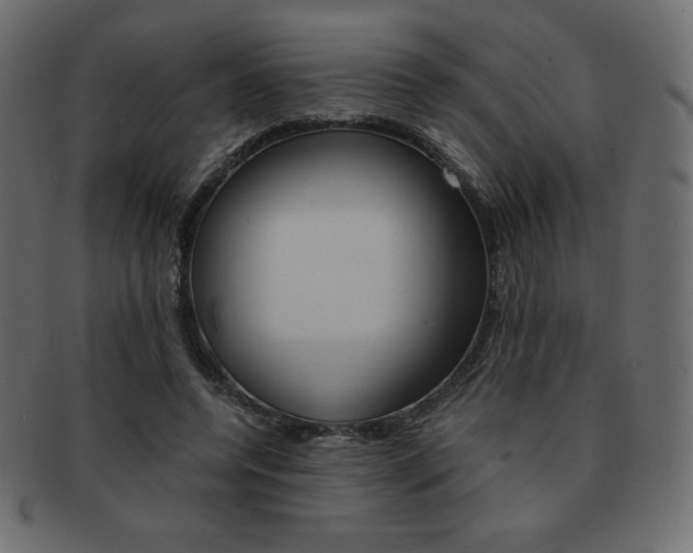 X0000093160544200709261038