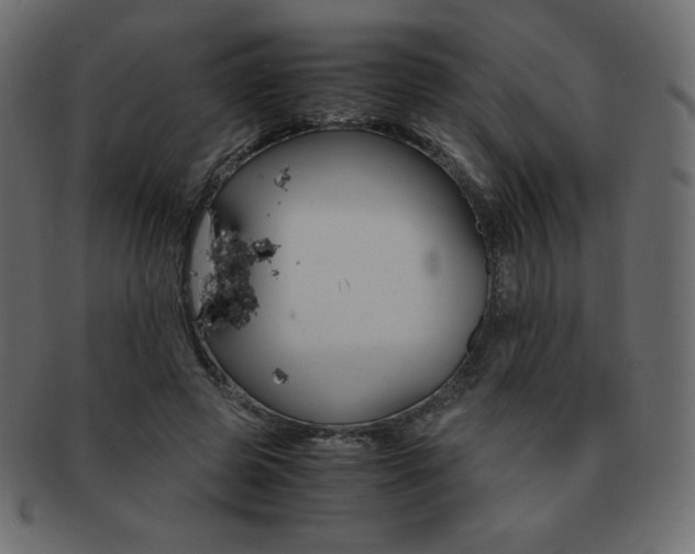 X0000093160545200709261038