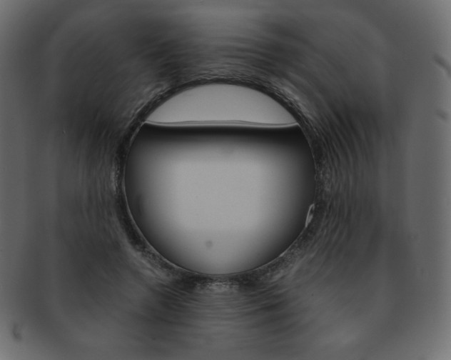 X0000093160546200709261038