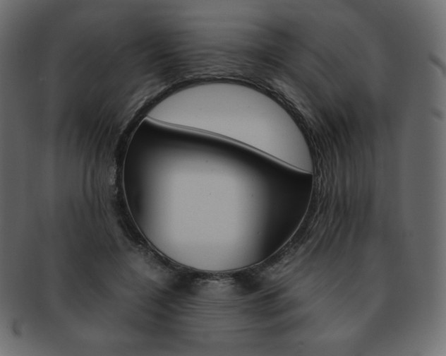 X0000093160548200709261038